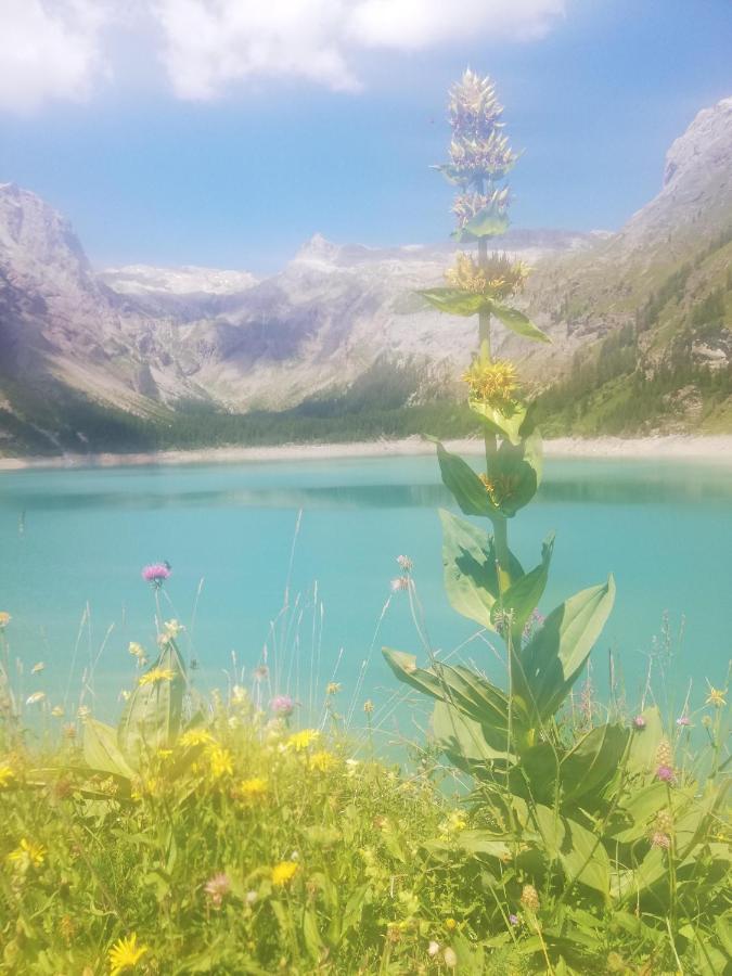 Chambres d’hôtes près de Verbier Volleges Exterior foto